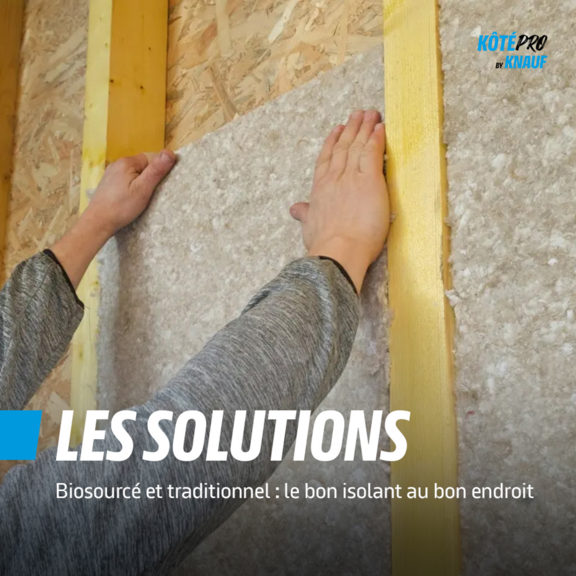 Vignette biosourcé et traditionnel